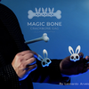 Magic Bones | Leonardo Arvelaez-Mago Leo Arvelaez-Deinparadies.ch