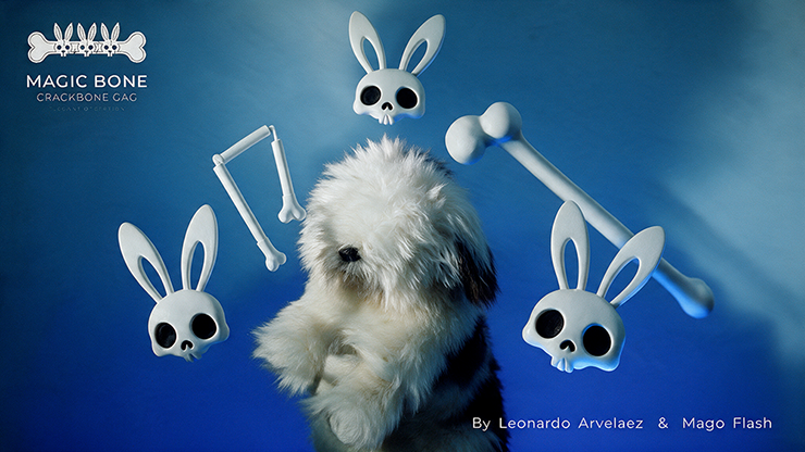 Magic Bones | Leonardo Arvelaez-Mago Leo Arvelaez-Deinparadies.ch
