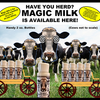 Magic Milk Fake Milk | Big Guy's Magic Big Guy's Magic Deinparadies.ch