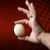 Magic Sponge Egg 4pk | Murphy's Magic-Murphy's Magic Productions-Deinparadies.ch