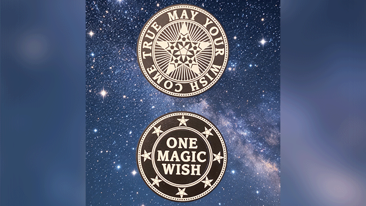 Magic Wishing Coins | 20 Plastic Coins-Alan Wong-Deinparadies.ch