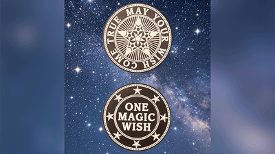 Magic Wishing Coins | 20 Plastic Coins-Alan Wong-Deinparadies.ch