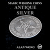 Magic Wishing Coins Antique Silver (12 Coins) | Alan Wong Alan Wong bei Deinparadies.ch
