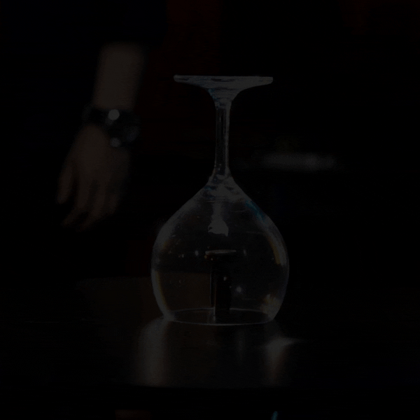 Magnet-0 PRO | Henry Harrius & Armando C-Henry Harrius-Deinparadies.ch