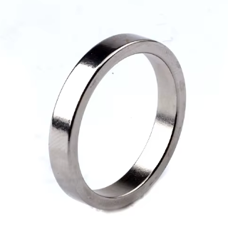 Magnetring (PK-Ring) flat | silber-Deinparadies.ch-Deinparadies.ch