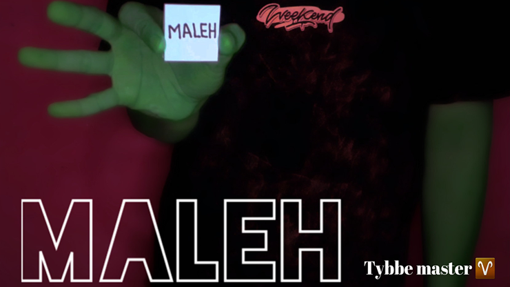 Maleh by Tybbe Master - Video Download Nur Abidin bei Deinparadies.ch