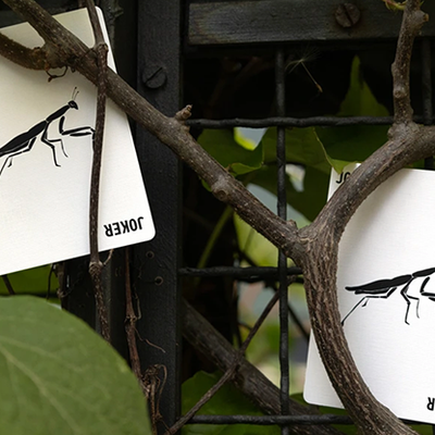 Mantis Playing Cards (Marked)-Deinparadies.ch-Deinparadies.ch