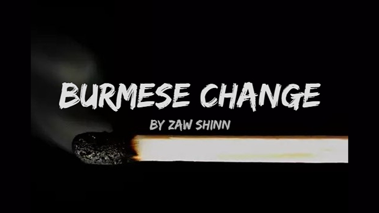 Mario Tarasini presents Burmese Change by Zaw Shinn - Video Download Marius Tarasevicius bei Deinparadies.ch