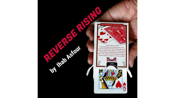 Mario Tarasini presents: Reverse Rising by Ihab Asfour - Video Download Marius Tarasevicius bei Deinparadies.ch