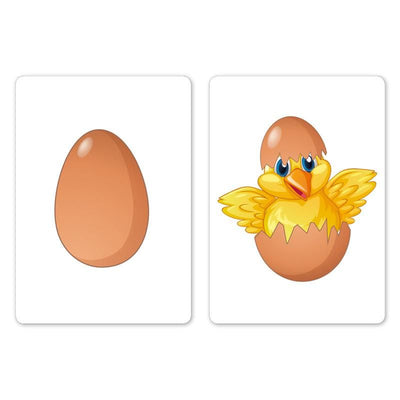 Mein Ei - My Egg | Bicycle-Difatta Magic-Deinparadies.ch