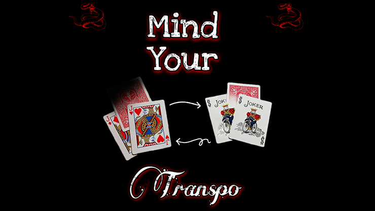 Mind Your Transpo by Viper Magic - Video Download Viper Magic bei Deinparadies.ch