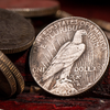 Mini Dólar de la Paz (Paquete de 5 monedas) | N2G