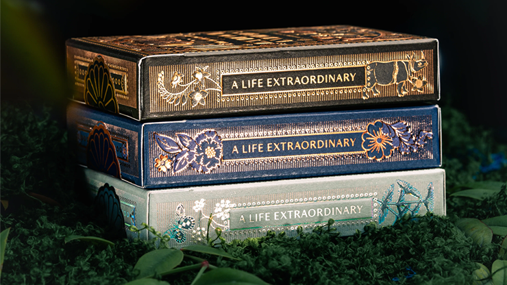 Mooi Collector's Edition BOXSET | theory11-theory11-Deinparadies.ch
