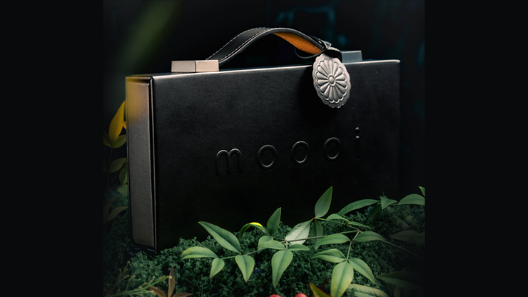 Mooi Collector's Edition BOXSET | theory11-theory11-Deinparadies.ch