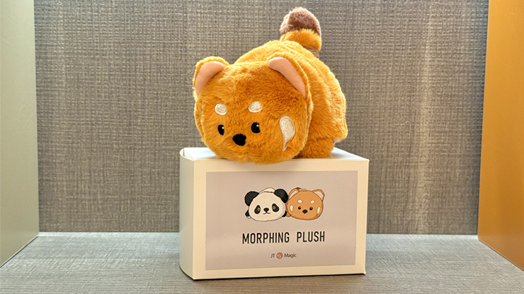 Morphing Plush (Panda to Raccoon) | Jackie Zhao and JT Magic-Jia Tianshi-Deinparadies.ch