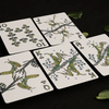 Mosaic Mantis Playing Cards-Improv Playing Cards-Deinparadies.ch