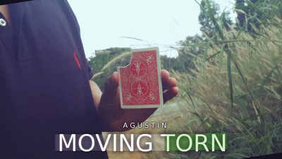 Moving Torn by Agustin - Video Download AGUSTIN bei Deinparadies.ch