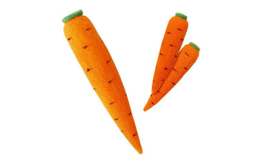 Multiplying Sponge Carrots | Karotten