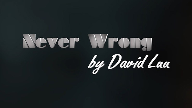 Never Wrong by David Luu - Video Download Luu Duc Hieu bei Deinparadies.ch
