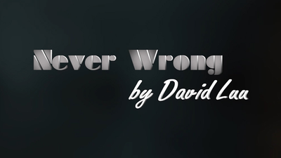 Never Wrong by David Luu - Video Download Luu Duc Hieu bei Deinparadies.ch