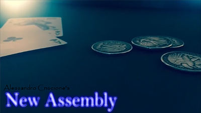 New Assembly by Alessandro Criscione - Video Download Alessandro Criscione bei Deinparadies.ch