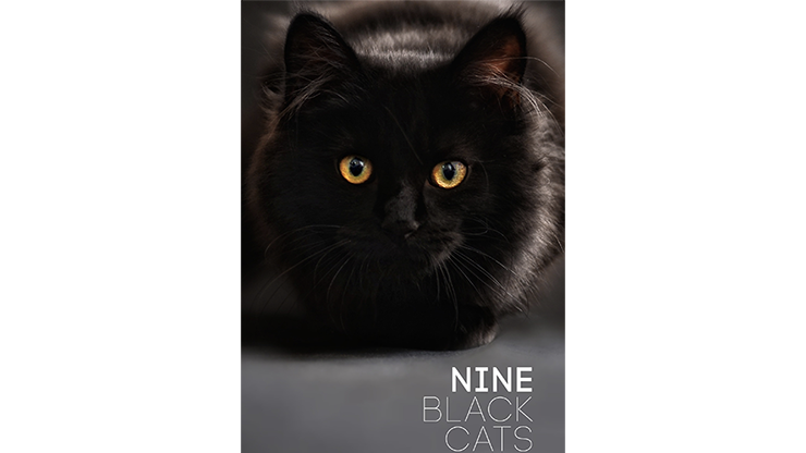 Nine Black Cats by Neema Atri - ebook Neema Atri bei Deinparadies.ch