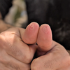 No Pain No Gain | Adrian Vega & Gonzalo Albiñana-Crazy Jokers-Deinparadies.ch