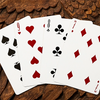 No.13 Table Players Vol.34 Playing Cards | Kings Wild Project-Deinparadies.ch-Deinparadies.ch
