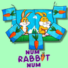 Num Rabbit Num | PlayTime Magic DEFMA-PlayTime Magic DEFMA-Deinparadies.ch