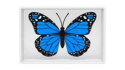 Omni Butterfly | Hyde Ren & Bacon Magic-Bacon Magic-Deinparadies.ch