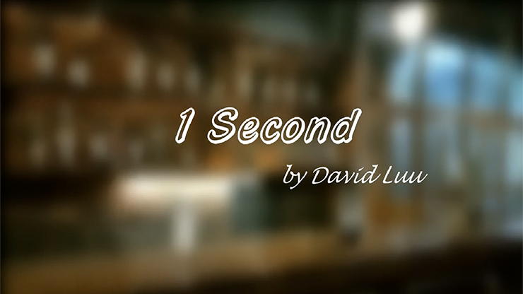 One Second by David Luu - Video Download Luu Duc Hieu bei Deinparadies.ch