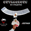 Outrageous Co-incidence by Jeevan and Viper Magic - Video Download Viper Magic bei Deinparadies.ch
