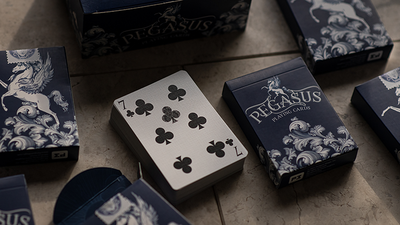 Pegasus Playing Cards Penguin Magic bei Deinparadies.ch
