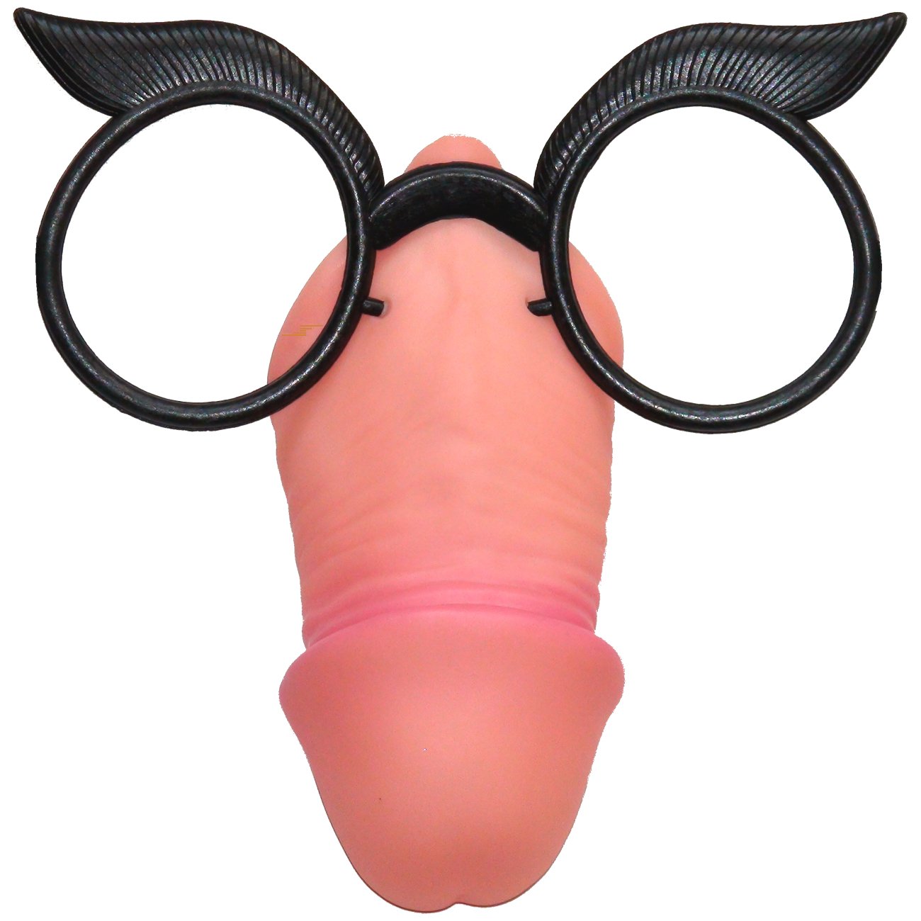Penis-Brille-Erfurth-Deinparadies.ch