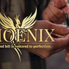 Phoenix | Higar and Hanson Chien (Euro)-Magic Hutong Entertainment Inc. Ltd.-Deinparadies.ch