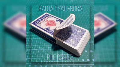 Pile Cards by Radja Syailendra - Video Download SaysevenT bei Deinparadies.ch