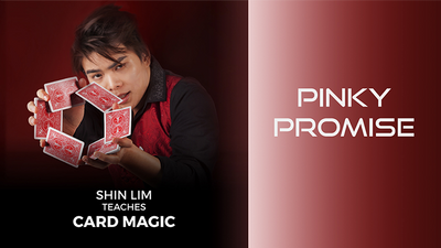 Pinky Promise 1 and 2 by Shin Lim (Single Trick) - Video Download Superhumanz bei Deinparadies.ch