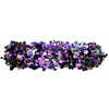 Pixie Paint Dust Mardi Gras-Amerikan Bodyart-Deinparadies.ch