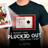 Plucked Out | JOTA JOTA ILUSIONISTA bei Deinparadies.ch