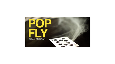 Pop Fly by Bizau Cristian - Video Download Vanishing Inc. bei Deinparadies.ch