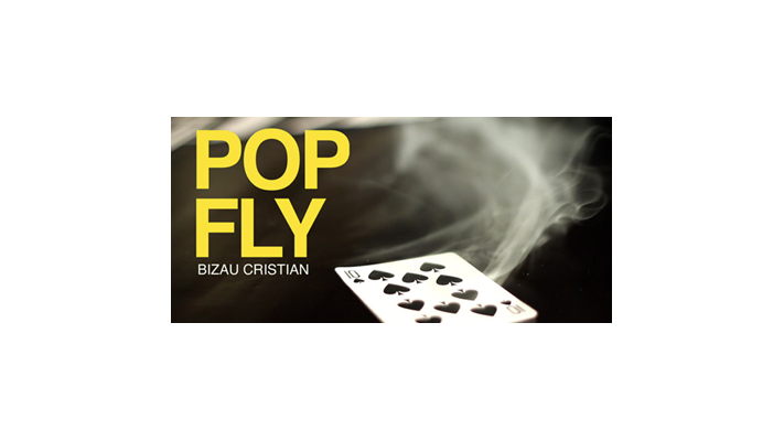 Pop Fly by Bizau Cristian - Video Download Vanishing Inc. bei Deinparadies.ch