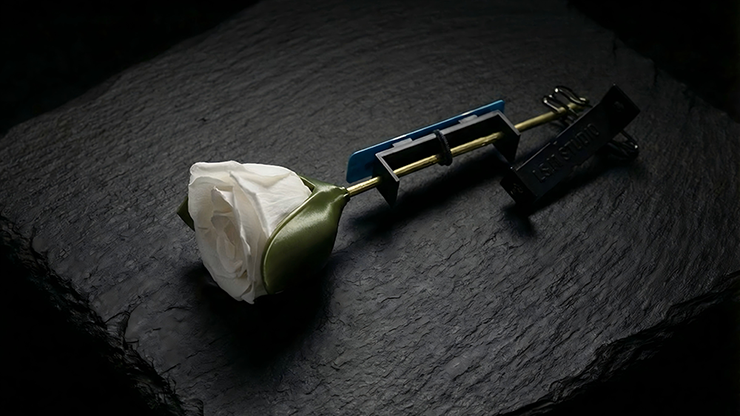 Project H: Rose Holder | J.S.M. Studio & Bacon Magic-Bacon Magic-Deinparadies.ch