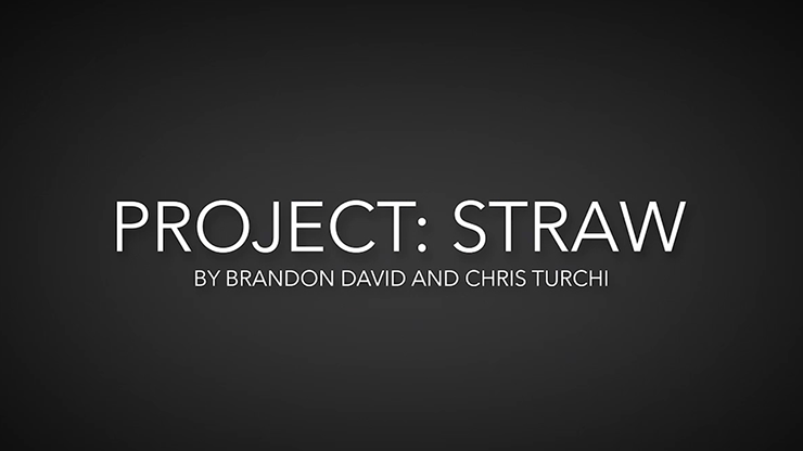 Project Straw by Brandon David & Chris Turchi - Video Download Murphy's Magic bei Deinparadies.ch