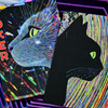Radio Cat V1 Deck | Evokad-Secret Factory-Deinparadies.ch