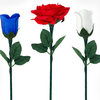 Reborn Rose | JL Magic-JL Magic-Deinparadies.ch