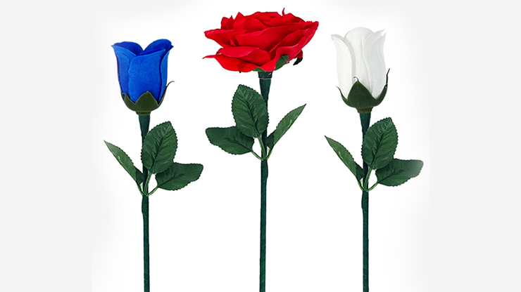 Reborn Rose | JL Magic-JL Magic-Deinparadies.ch