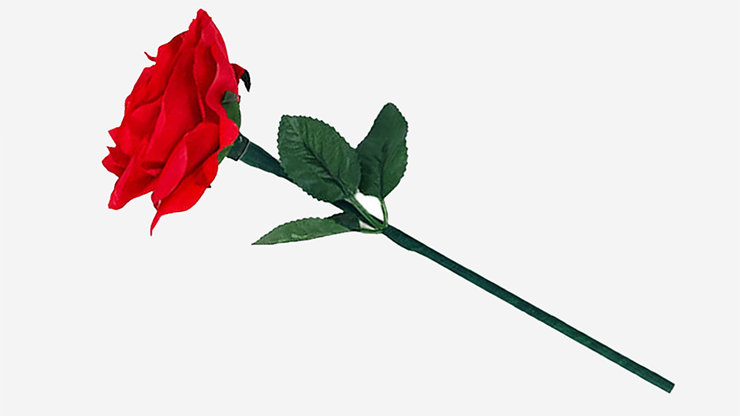 Reborn Rose | JL Magic-JL Magic-Deinparadies.ch
