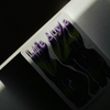 Reviver Playing Cards (Psychedelic) | Bacon Magic-Bacon Magic-Deinparadies.ch