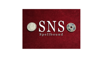 SNS Spellbound by Rian Lehman - - Video Download Rian Lehman bei Deinparadies.ch