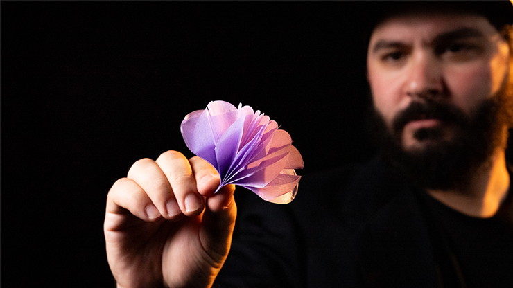 SPRING FLOWERS (2 PK PAPER) | Murphy's Magic-Murphy's Magic Productions-Deinparadies.ch